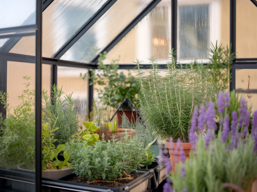 Comment transformer un balcon nord de 4 m² en serre hivernale isolée et récolter aromatiques tout l'hiver sans permis