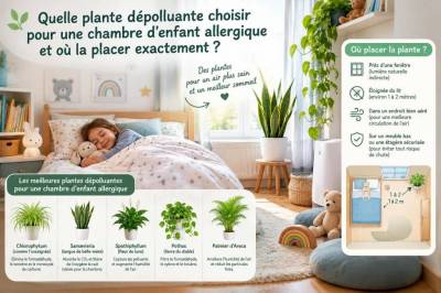 Quelle plante dépolluante choisir pour une chambre d'enfant allergique et où la placer exactement