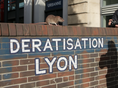 Deratisation Lyon,deratisation villeurbanne,entreprise de deratisation r